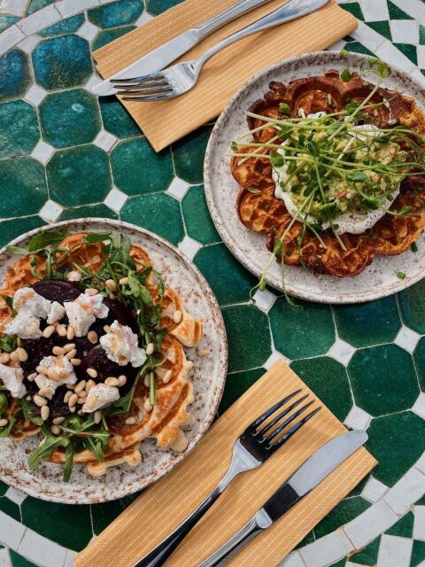 IMG_4873_VSCO-480x640