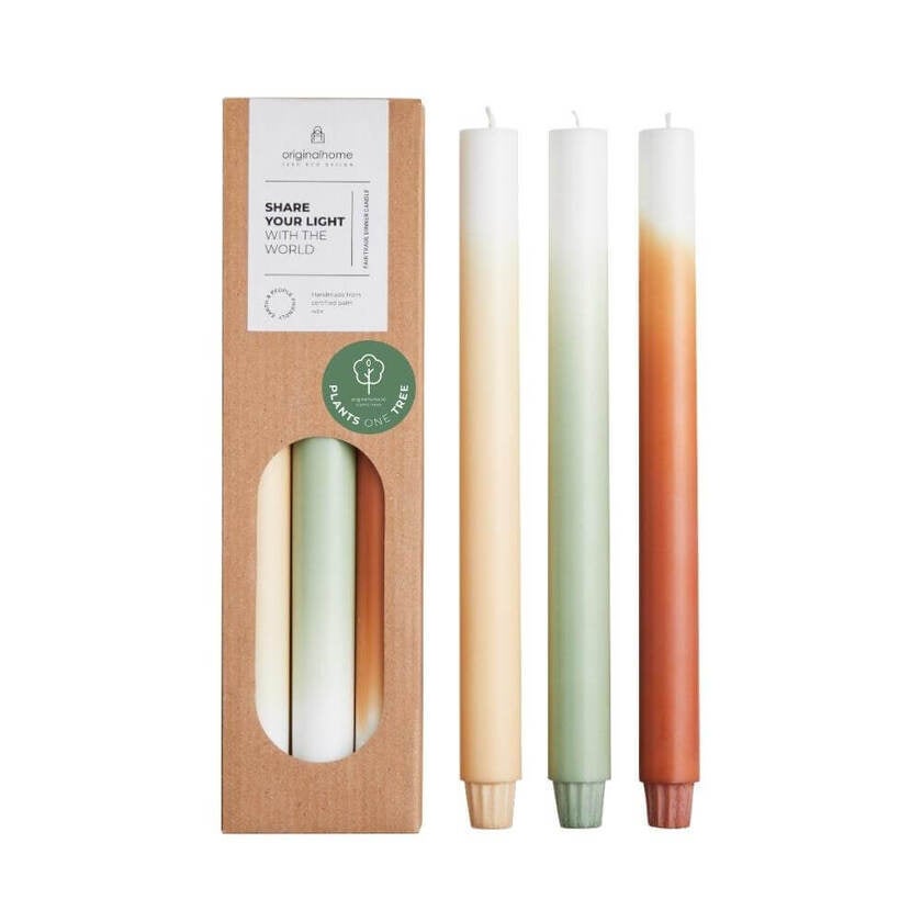 TC0051.10 Gradient Candles Pine Tree S-3 Tree